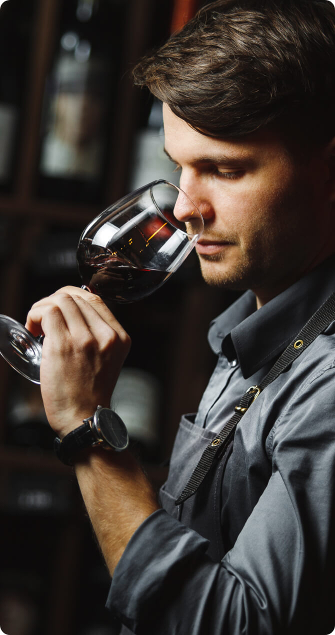 Catador en linea, tienda en linea de vinos. Comprar vinos premium en linea
