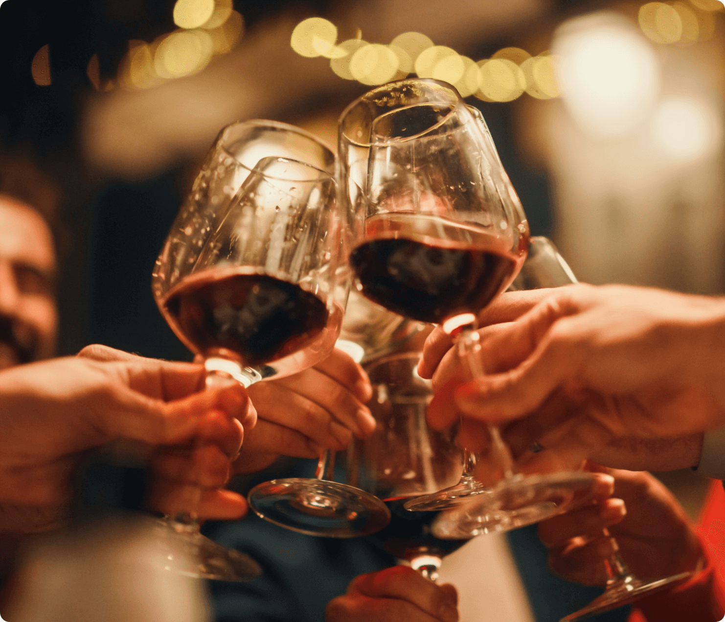 Catador en linea, tienda en linea de vinos. Comprar vinos premium en linea